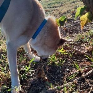 Meet your Posher, Jimmy